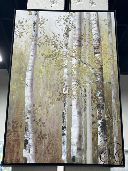 Birch Trees In Forest Black Frame Picture