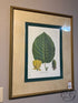 Bombay Co. Botanical Picture ’Heart Leaved Cucumber Tree’ Print In Frame