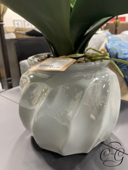 Ceramic Vase With Succulent
