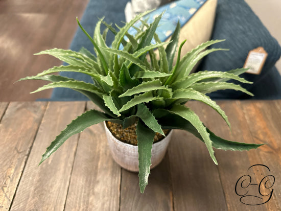 Faux Aloe Vera Plant In Etched Gold/White Pot Greenery