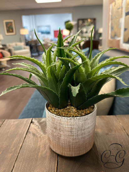 Faux Aloe Vera Plant In Etched Gold/White Pot Greenery