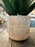 Faux Aloe Vera Plant In Etched Gold/White Pot Greenery