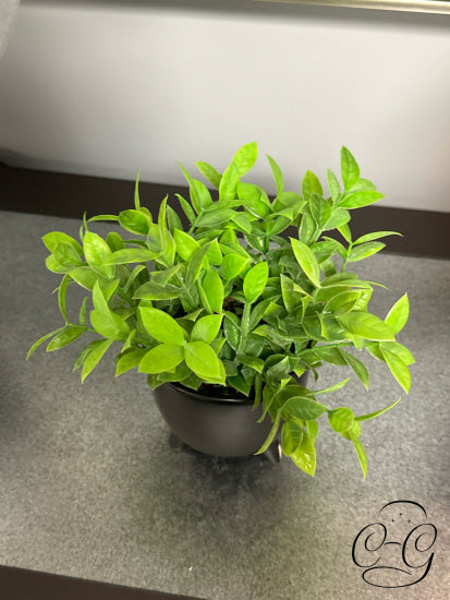 Faux Green Plant In Black Pot With Legs Greenery