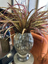 Faux Snake Plant In Vase Home Decor