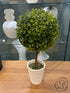 Faux Topiary In White Pot Home Decor