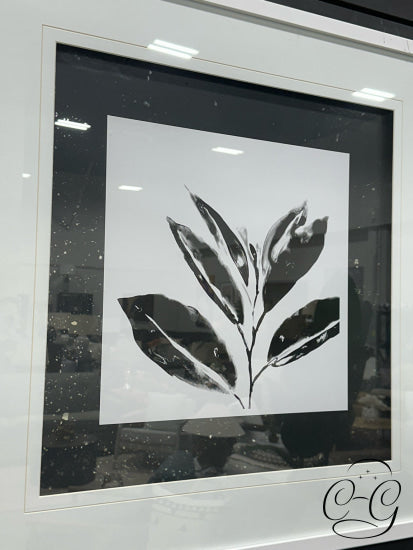 Mercana Black & White Flower Picture With Silver Embellishments In Frame