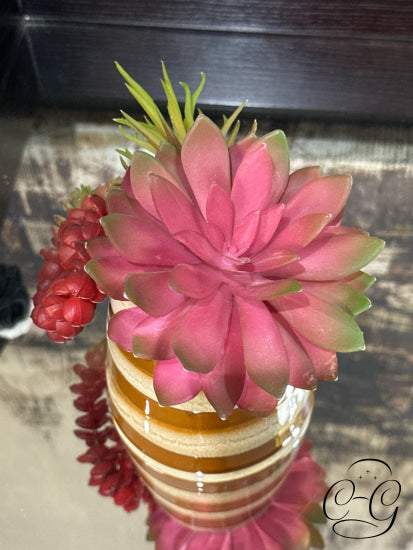 Pumpkin & Cream Pot With Multi Cacti Greenery