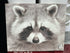 Raccoon Face Sepia Toned Canvas Picture