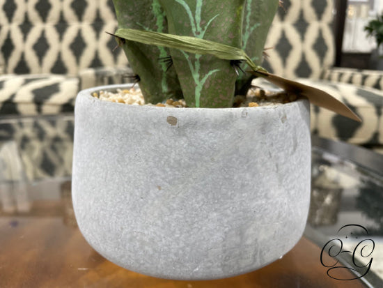 Silk Cactus In Concrete Planter Greenery