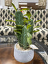 Silk Cactus In Concrete Planter Greenery